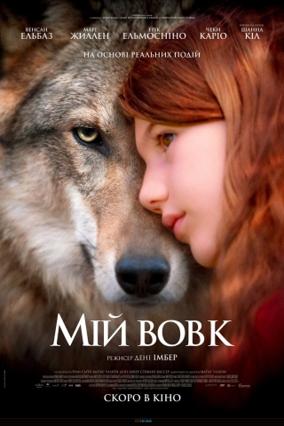 Мій вовк (з 13 січня)