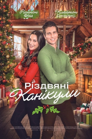 Різдвяні канікули (з 29 грудня)
