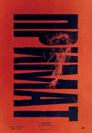 Примат (з 08 січня)